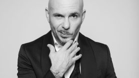 Mix Pitbull