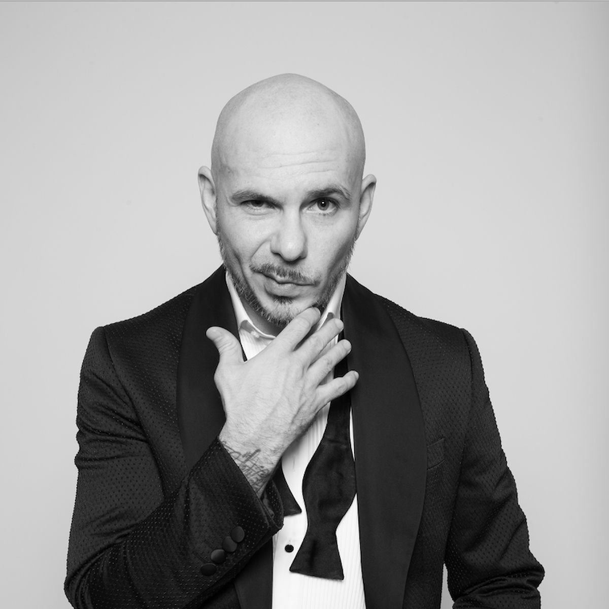 Mix Pitbull