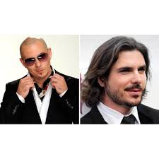 Mix Pitbull